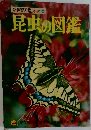 昆虫の図鑑