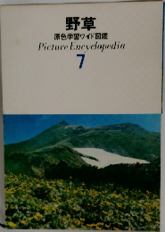 野草 原色学習ワイド図鑑 7