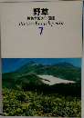 野草 原色学習ワイド図鑑 7