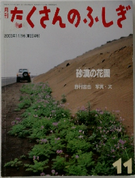 たくさんのふしぎ　2003/11