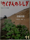 たくさんのふしぎ　2003/11