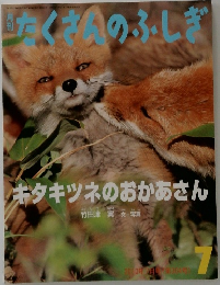 たくさんのふしぎ　2010年7月