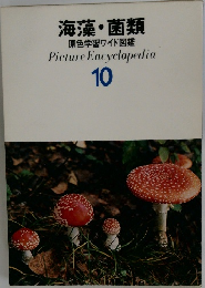 海藻・菌類　Picture Encyclopedia  10