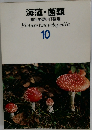 海藻・菌類　Picture Encyclopedia  10