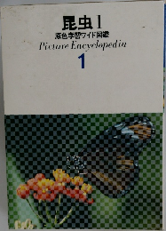 昆虫Ⅰ  原色学習ワイド図鑑　1