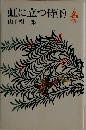 虹に立つ侍(下)