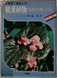 観葉植物〈家庭での楽しみ方>　