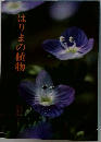 はりまの植物