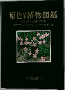 原色日本植物図鑑　草本編[II]・離弁花類