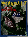 たくさんのぶ 5