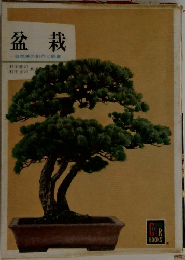 盆栽