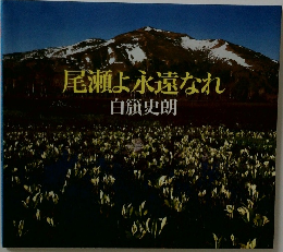 尾瀬よ永遠なれ