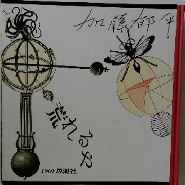 荒れるや　１９６９年