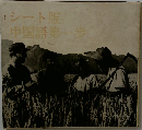 シート版中国語　第一歩