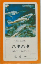 ハタハター生態からこぼれ話まで
