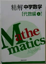 精解中学数学　代数編　上