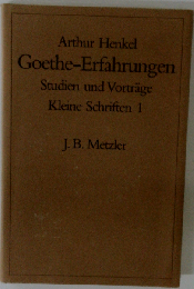 Goethe-Erfahrungen: Studien und Vortraege. Kleine Schriften 1