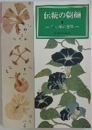 伝統の朝顔 3 ー作り手の世界ー