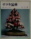 サツキ盆栽ーやさしい木作りの技術