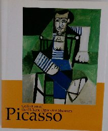  Picasso
