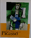  Picasso