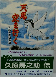 天馬空を行く : 久原房之助物語