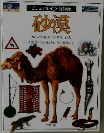 ビジュアル博物館  砂漠