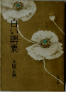 白い罌粟