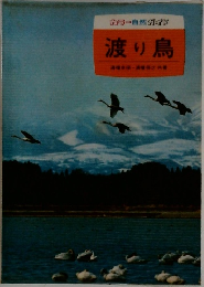 カラー自然ガイド　渡り鳥