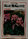 高山と亜高山の花
