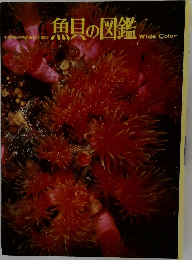 魚貝の図鑑