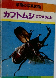 学研の写真図鑑  カブトムシクワガタムシ