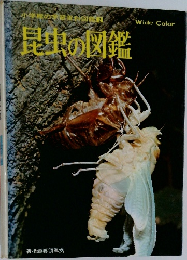 昆虫の図鑑