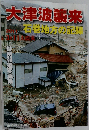 大津波襲来　石巻地方の記録　2011年3/11号