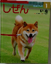 しぜん　いぬ　1