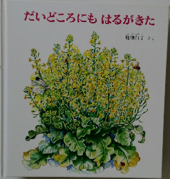 だいどころにも　はるがきた　