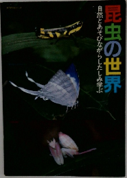昆虫の世界　