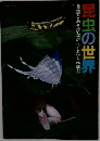 昆虫の世界　