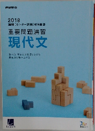 重要問題演習  現代文