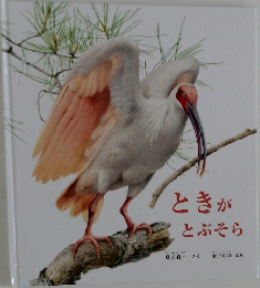 ときがとぶそら