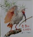ときがとぶそら