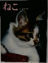 ねこ