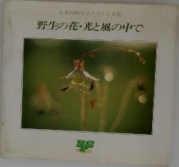 日本植物写真クラブ写真集  野生の花 ・光と風の中で