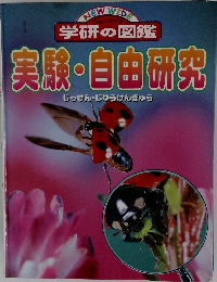 実験・自由研究
