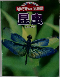 ニューワイド学研の図鑑　昆虫