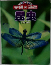 ニューワイド学研の図鑑　昆虫