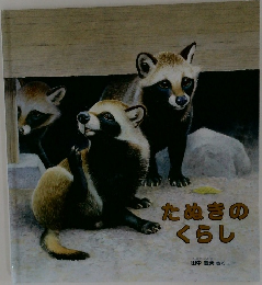 たぬきのくらし