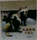 たぬきのくらし