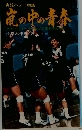 嵐の中の青春