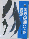 日本近海にいる  鯨類